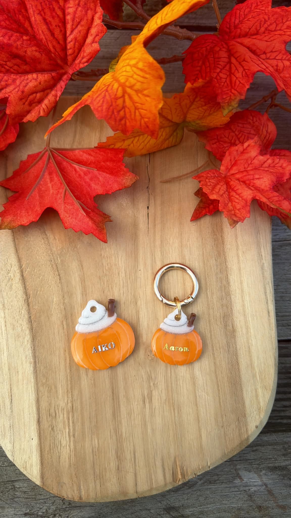 Médaille personnalisée pour chien "Cocktail Citrouille" 🎃