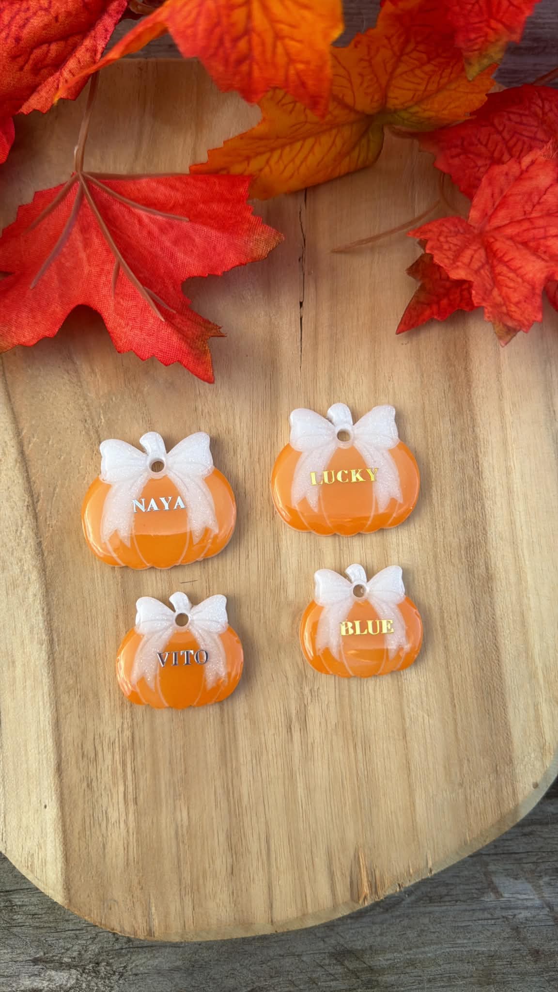 Médaille personnalisée pour chien "Noeud Citrouille" 🎃