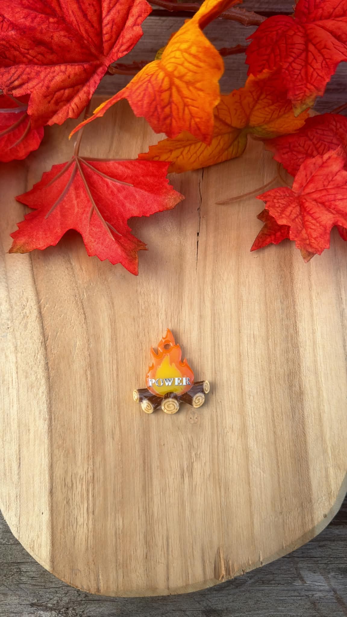 Médaille personnalisée pour chien "Feu de camp" 🔥