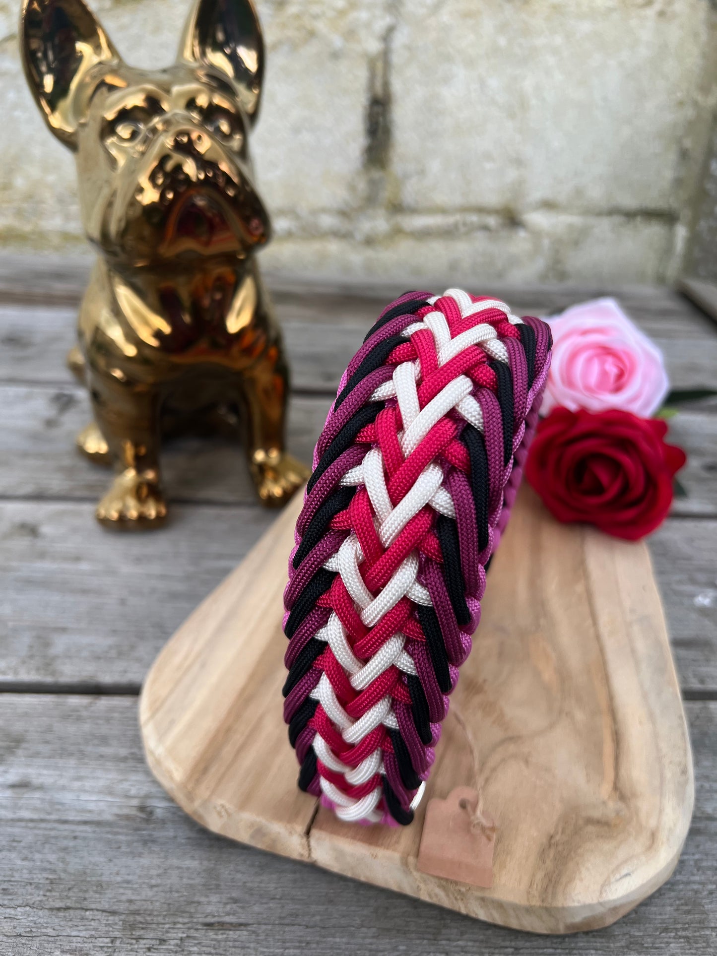Collier paracorde chien - Gordo