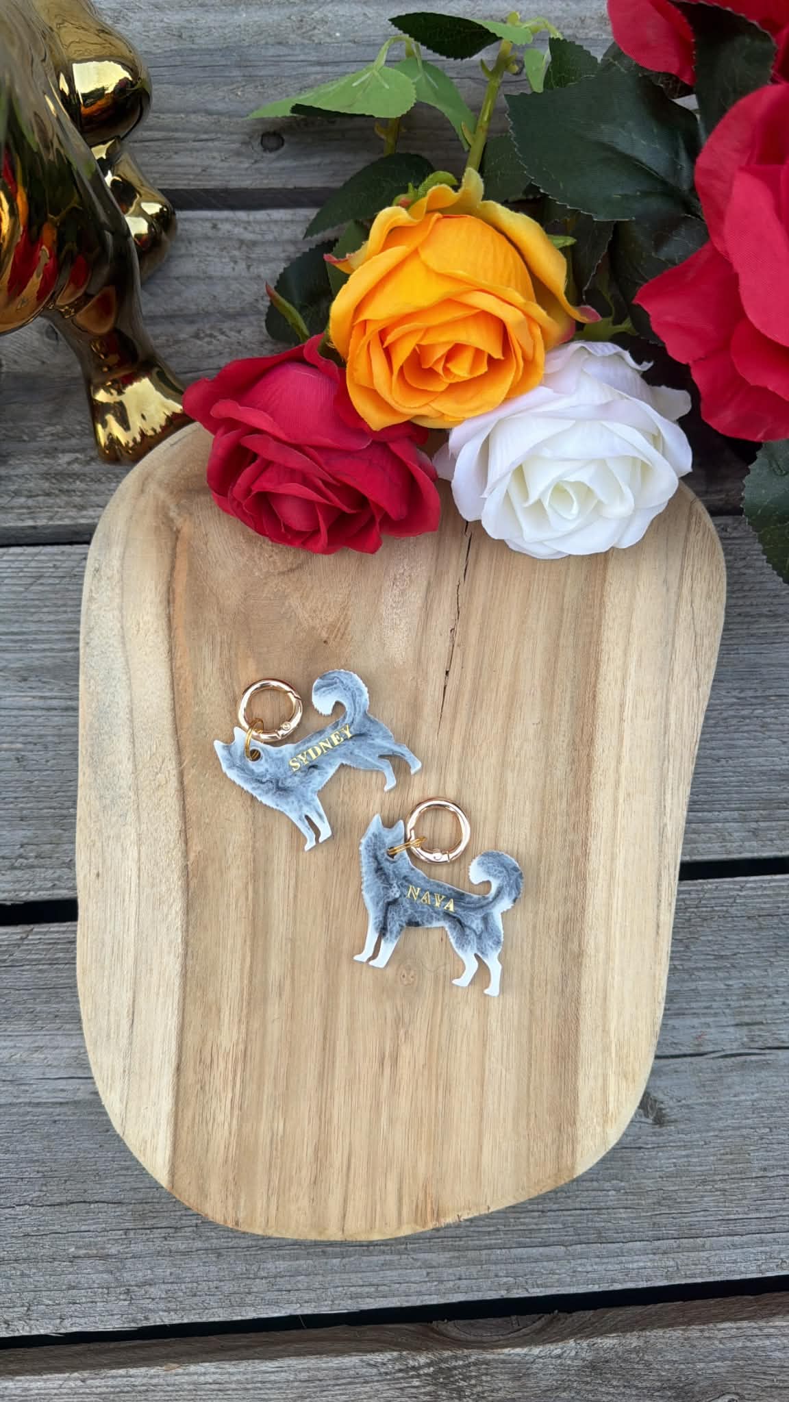 Médaille Husky