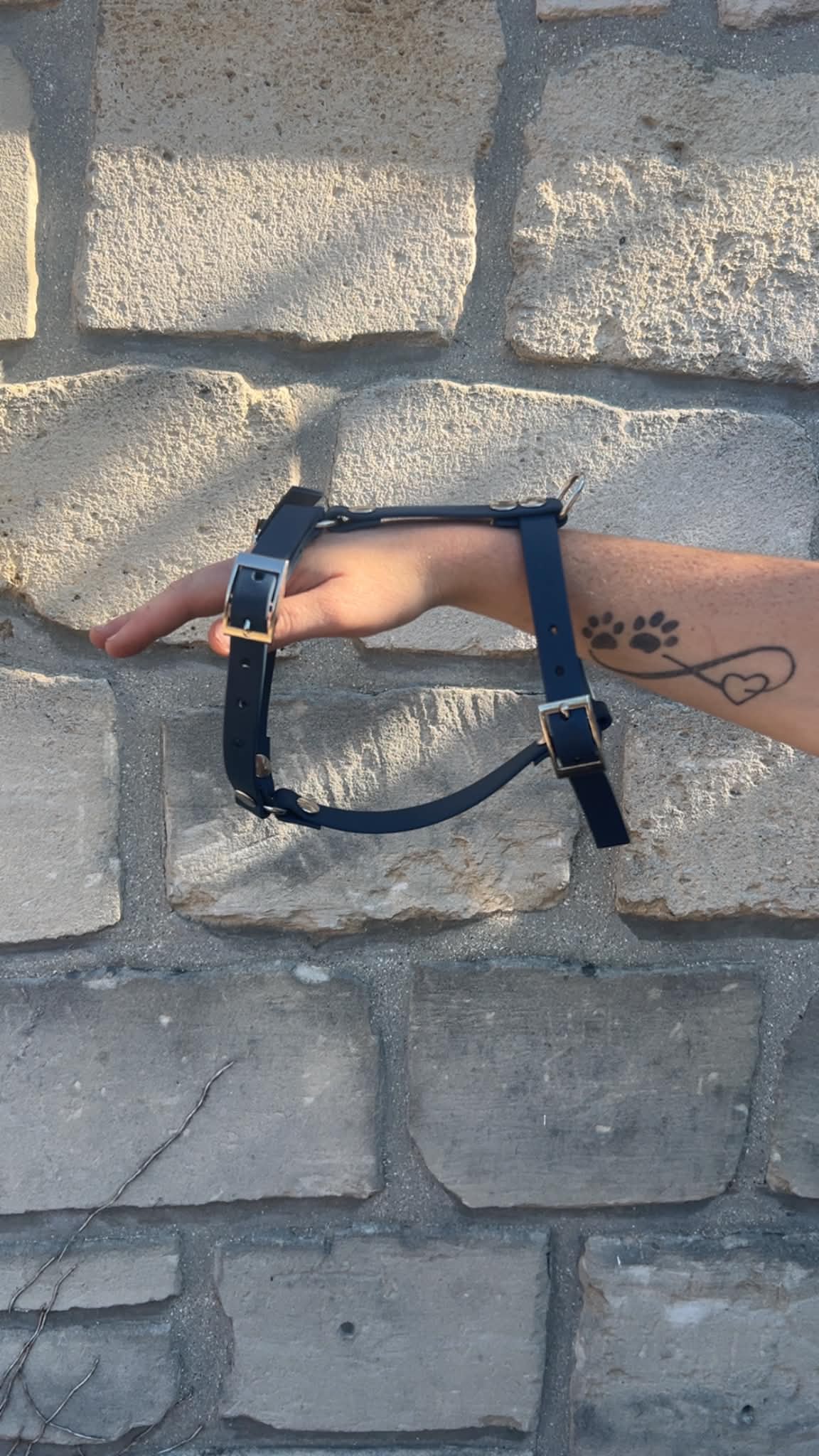 Harnais pour chien personnalisé