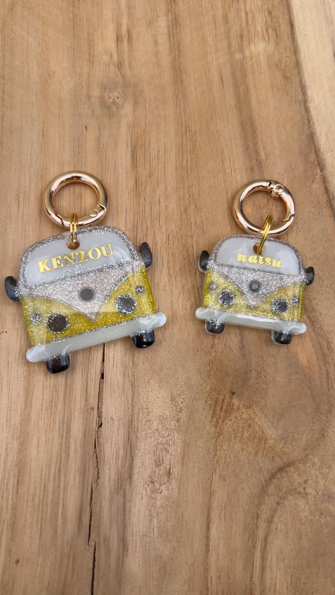 Médaille personnalisée chien "Van" 🚐