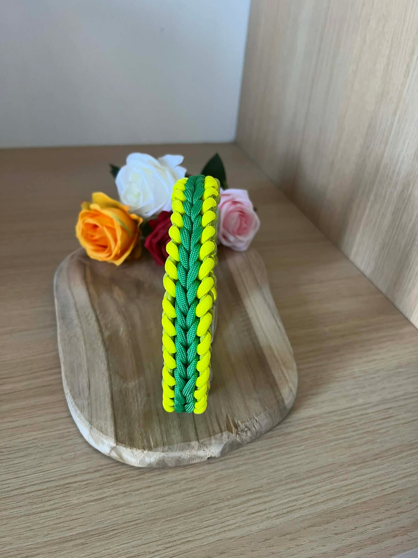 collier pour chien en paracorde