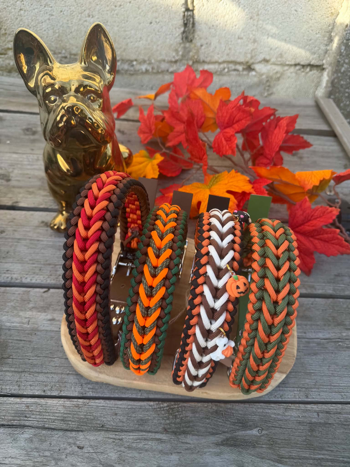 Collier Paracorde Chien - Happy Autumn