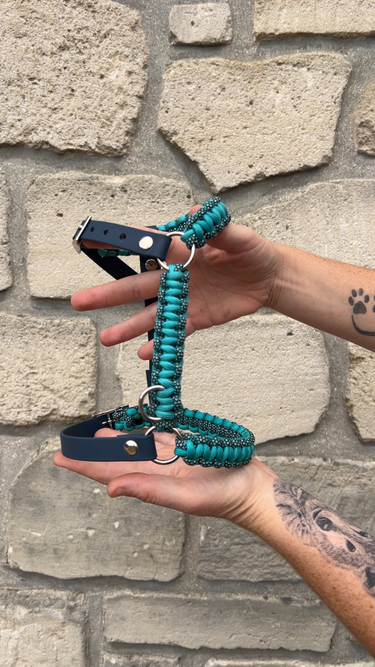 Harnais personnalisé pour chien - Cobra