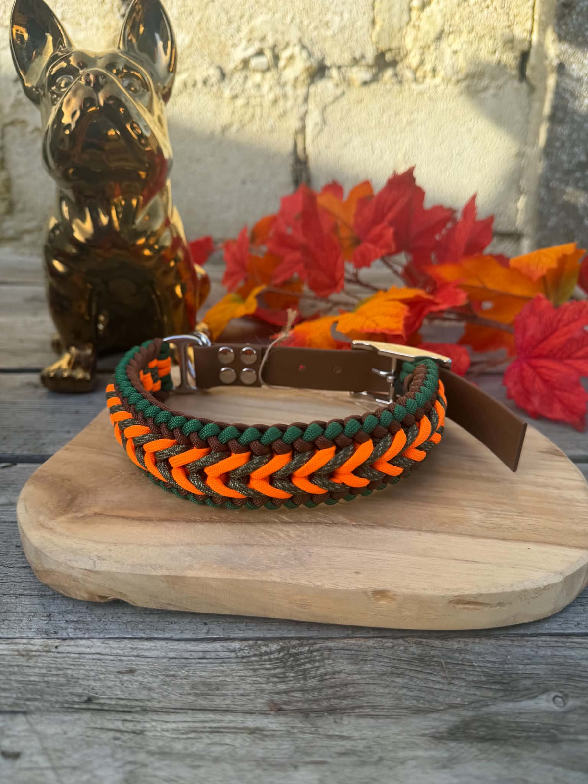 Collier Paracorde Chien - Happy Autumn