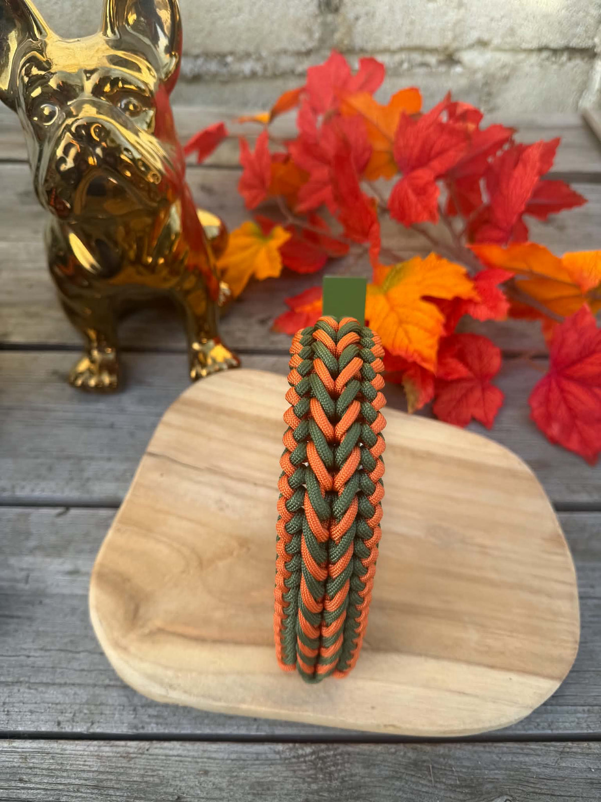 Collier Paracorde Chien - Happy Autumn