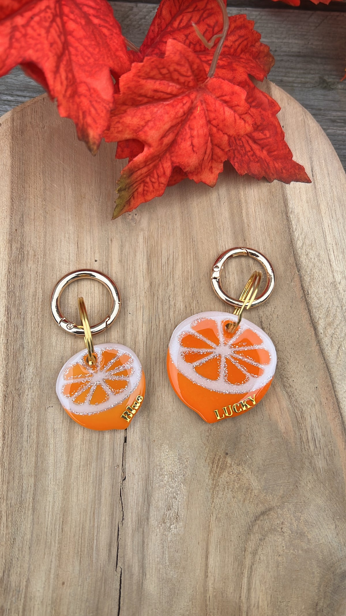 Médaille personnalisée pour chien "Orange" 🍊