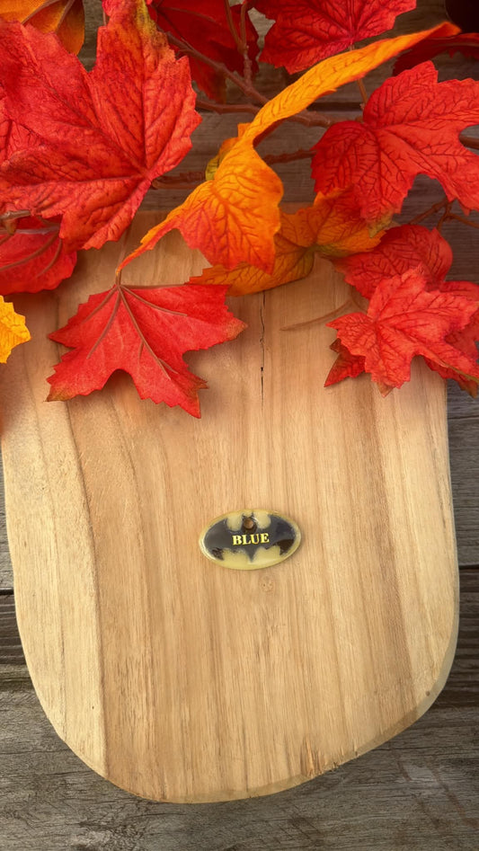 Médaille personnalisée pour chien "Batman" 🎭