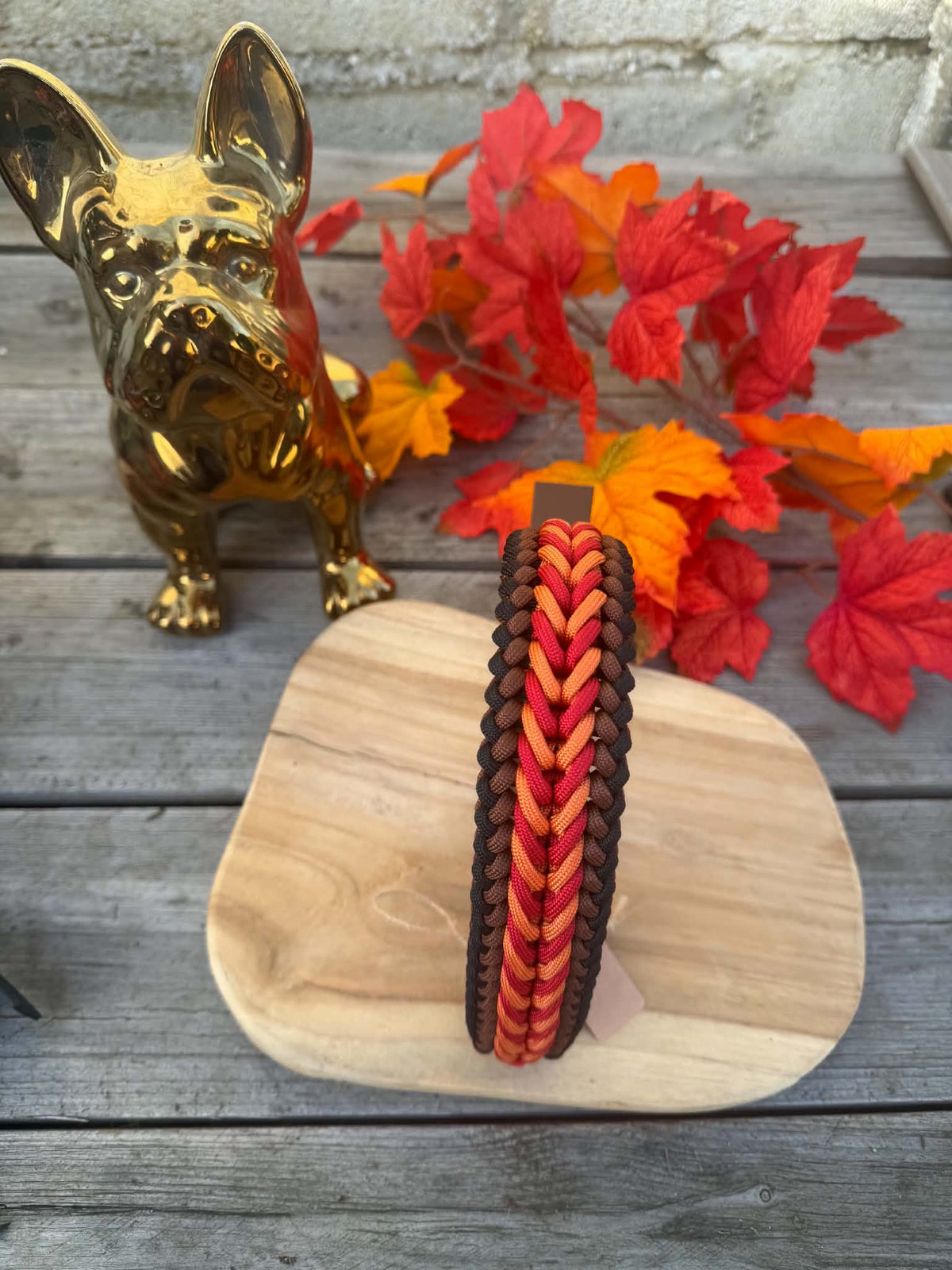 Collier Paracorde Chien - Happy Autumn