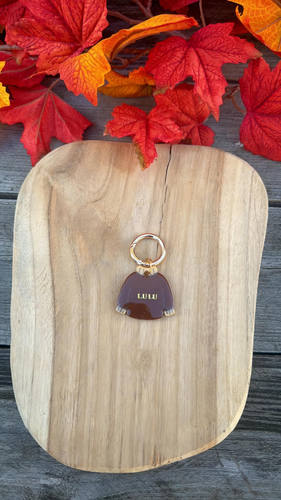 Médaille personnalisée pour chien "Pull" 👕