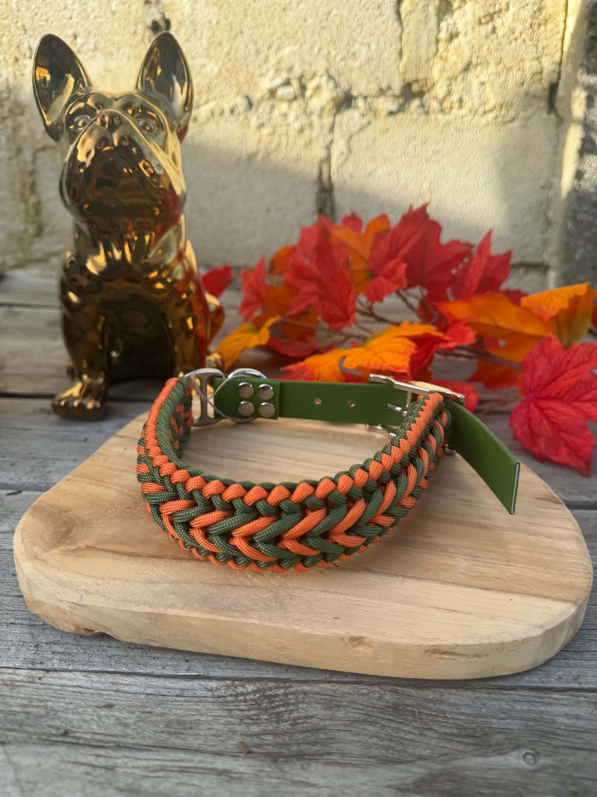 Collier Paracorde Chien - Happy Autumn