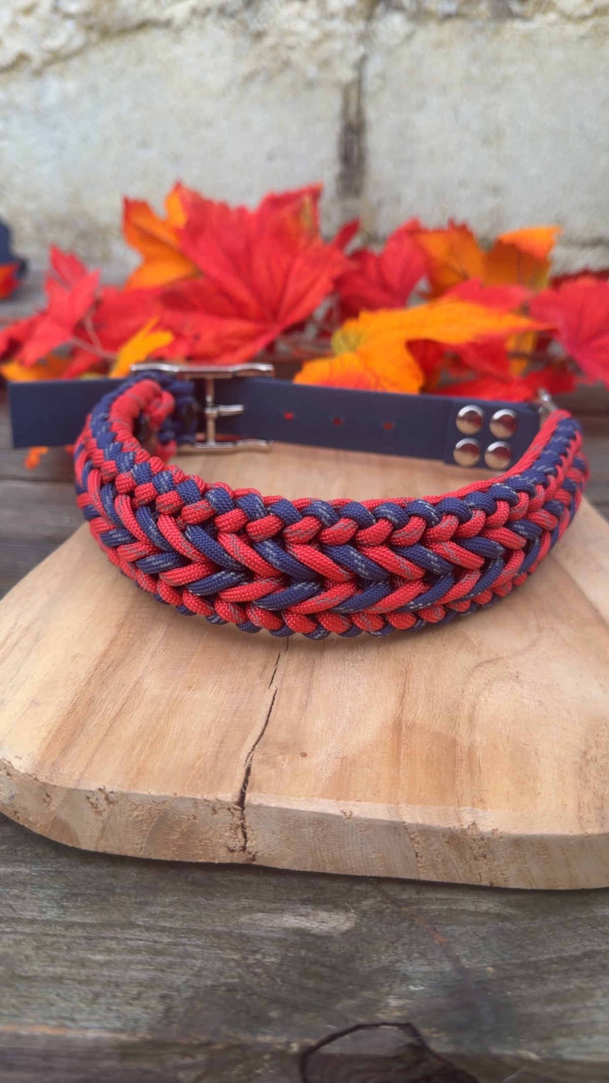 Collier tressé pour chien en paracorde réfléchissante - HAPPY