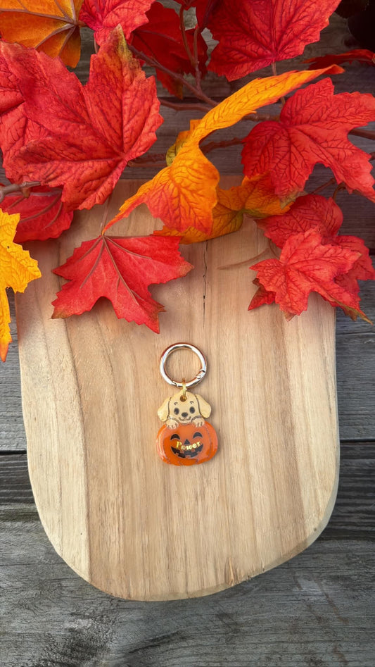 Médaille personnalisée pour chien "Dog Pumpkin" 🎃