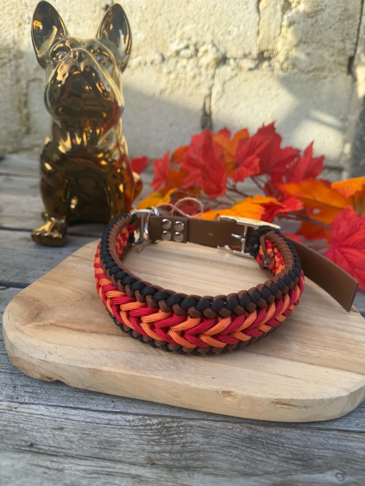 Collier Paracorde Chien - Happy Autumn