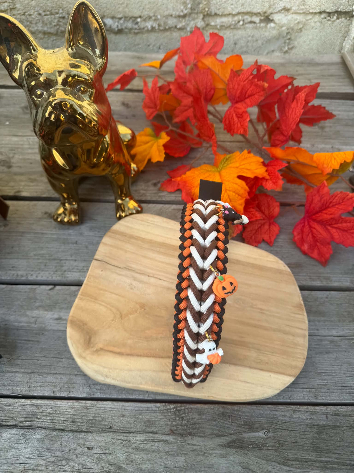Collier Paracorde Chien - Happy Autumn