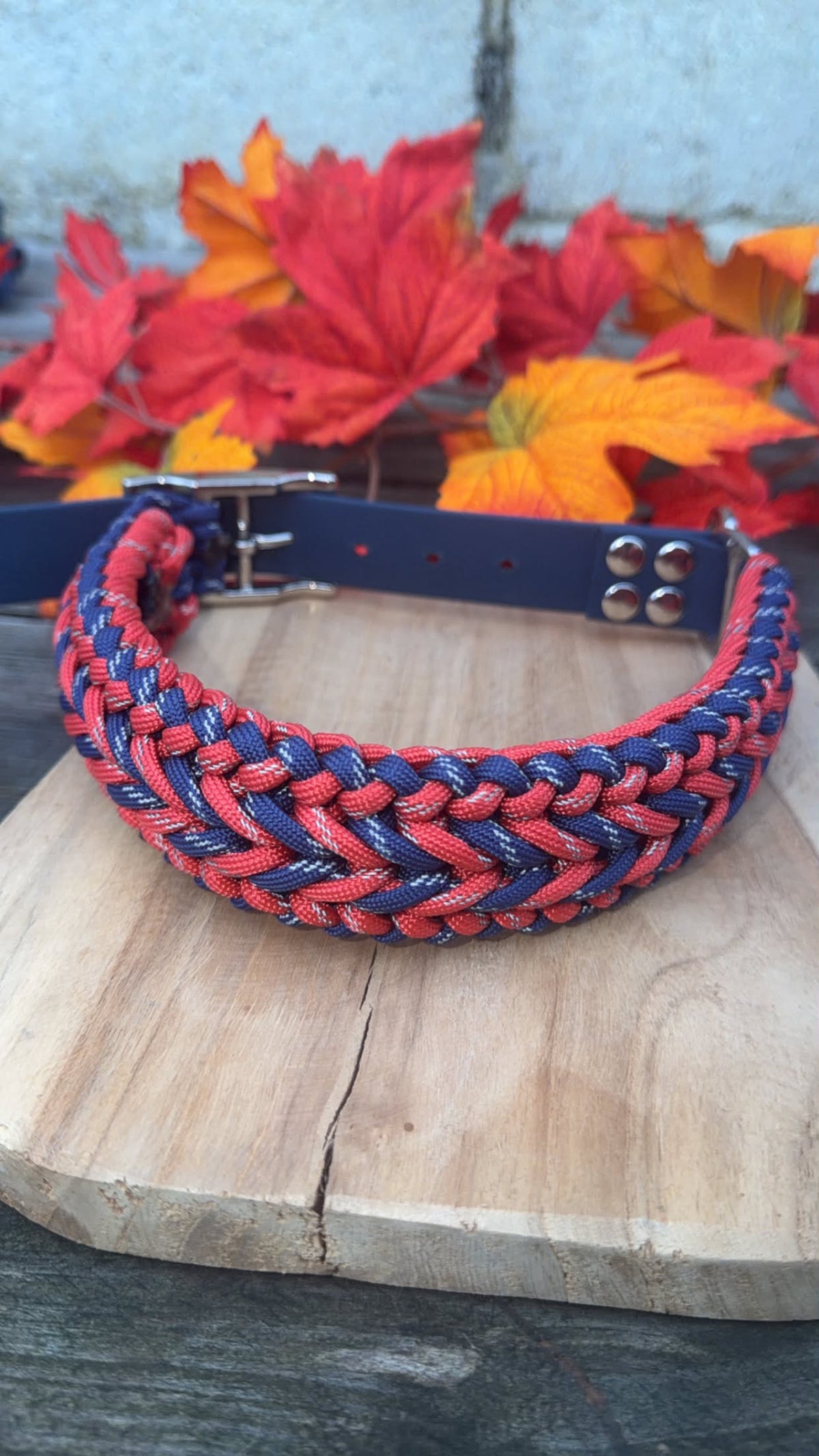 Collier tressé pour chien en paracorde réfléchissante - HAPPY
