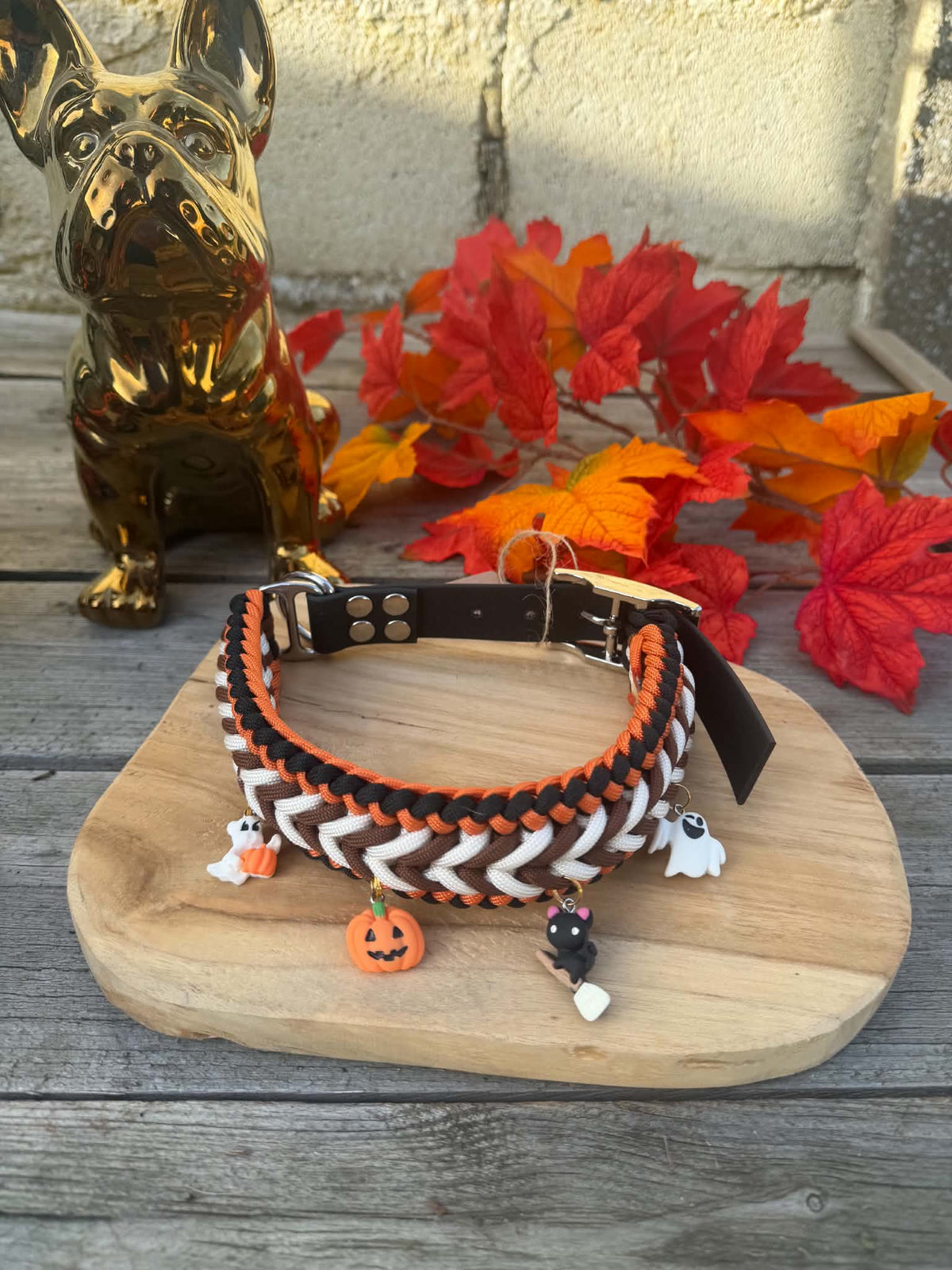 Collier Paracorde Chien - Happy Autumn