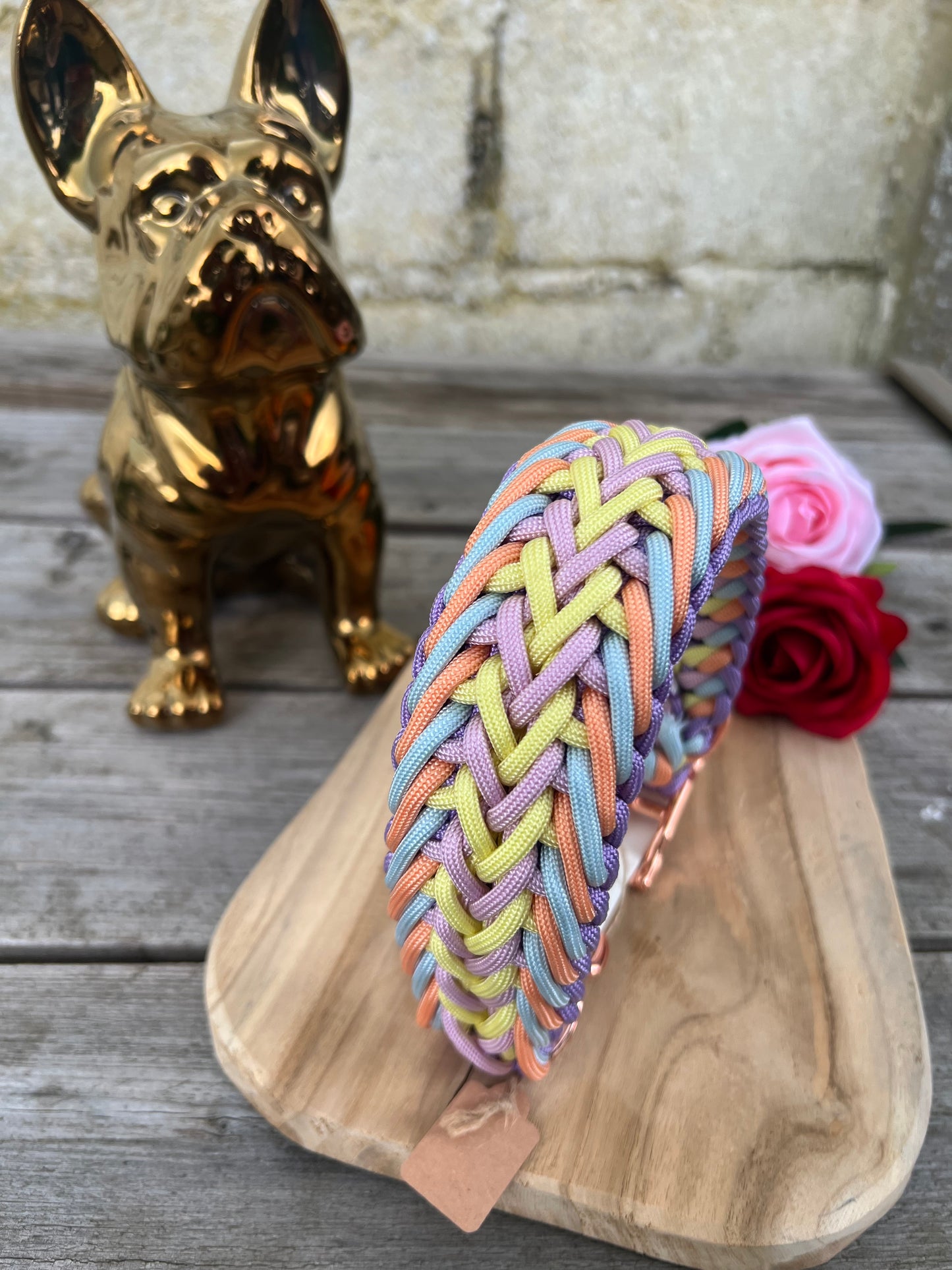 Collier paracorde chien - Gordo
