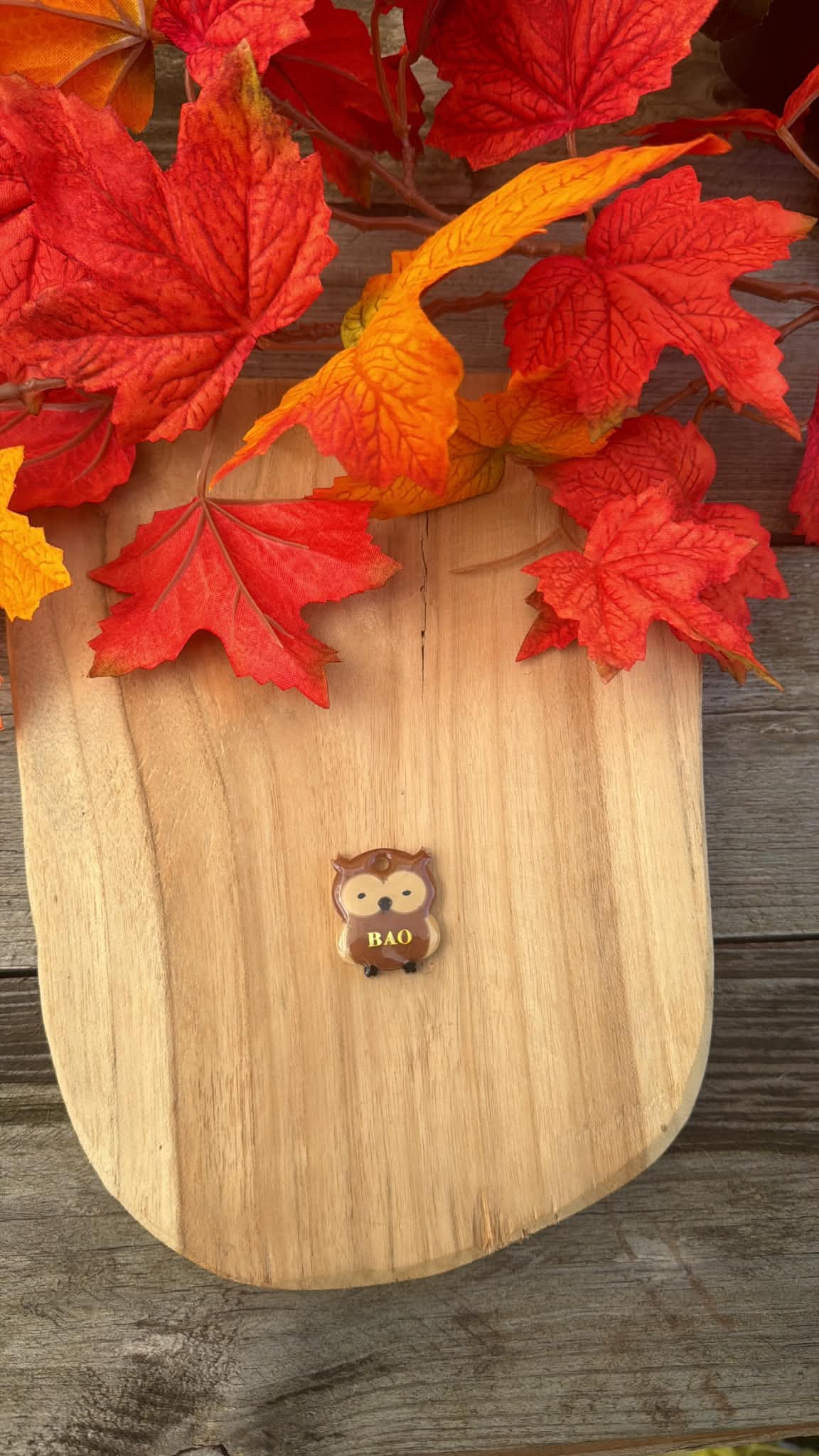 Médaille personnalisée pour chien "Hibou" 🦉