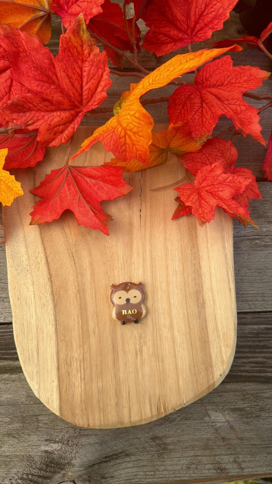 Médaille personnalisée pour chien "Hibou" 🦉