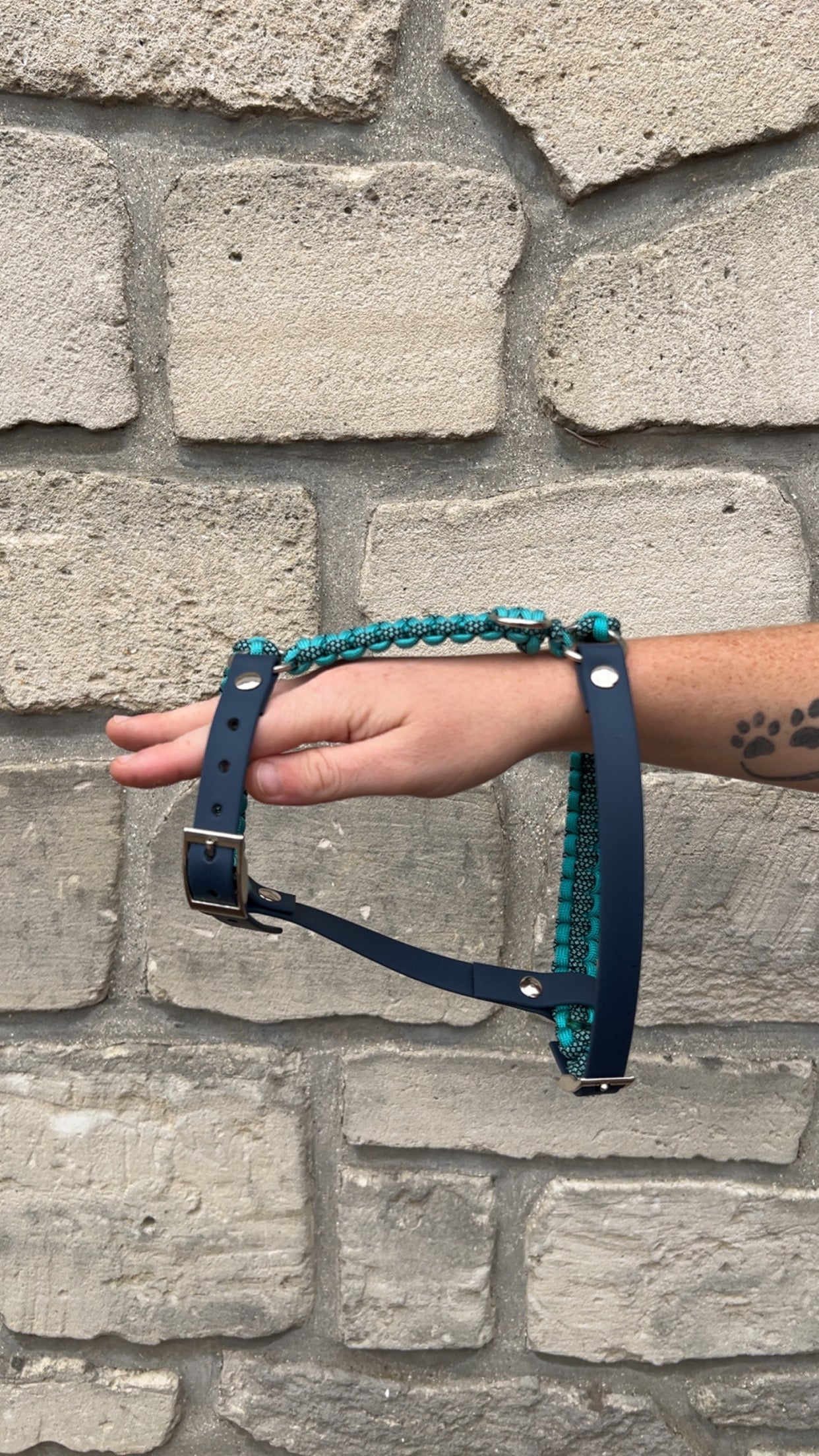 Harnais personnalisé pour chien - Cobra