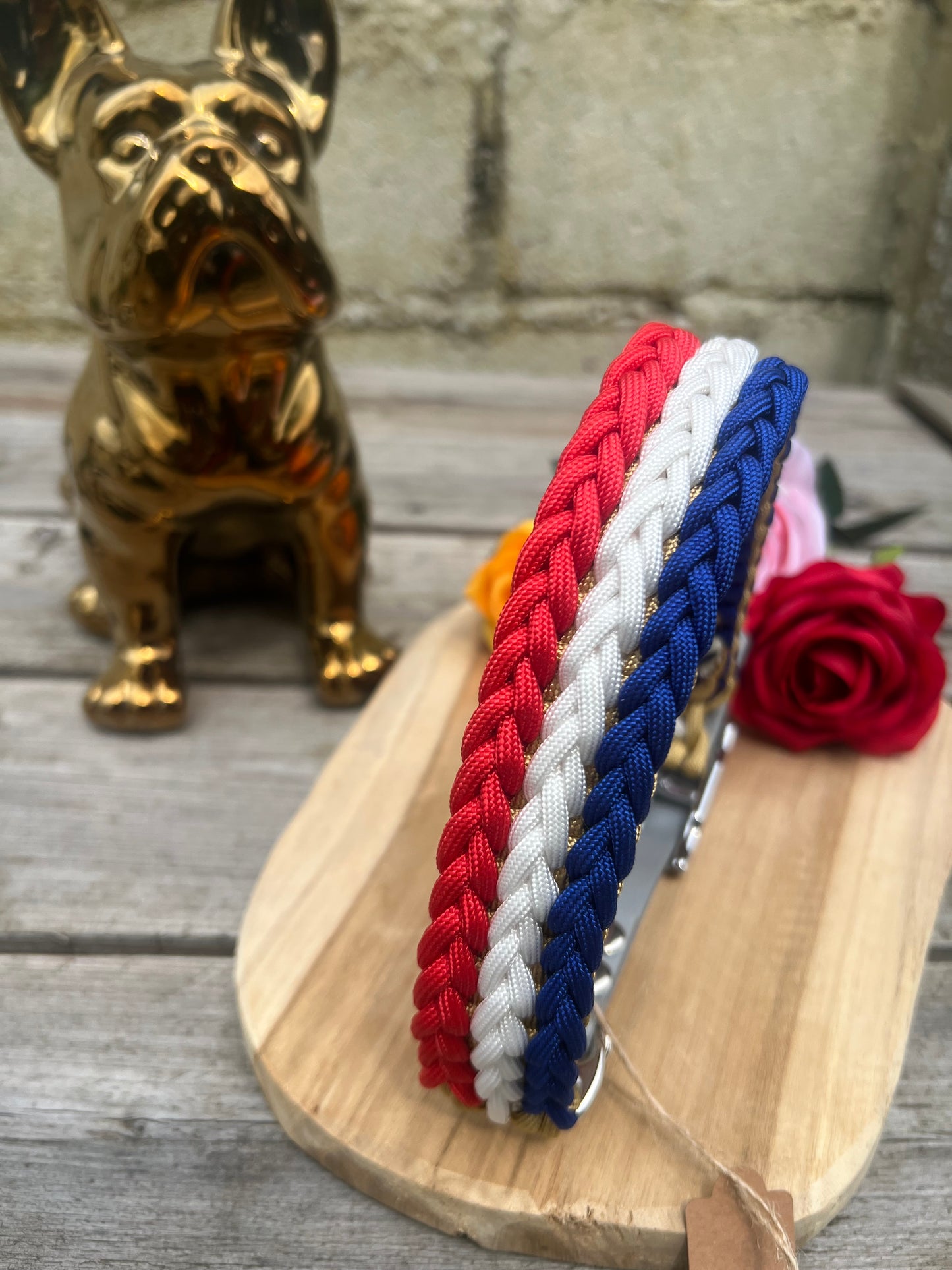 Collier paracorde chien - TRIO
