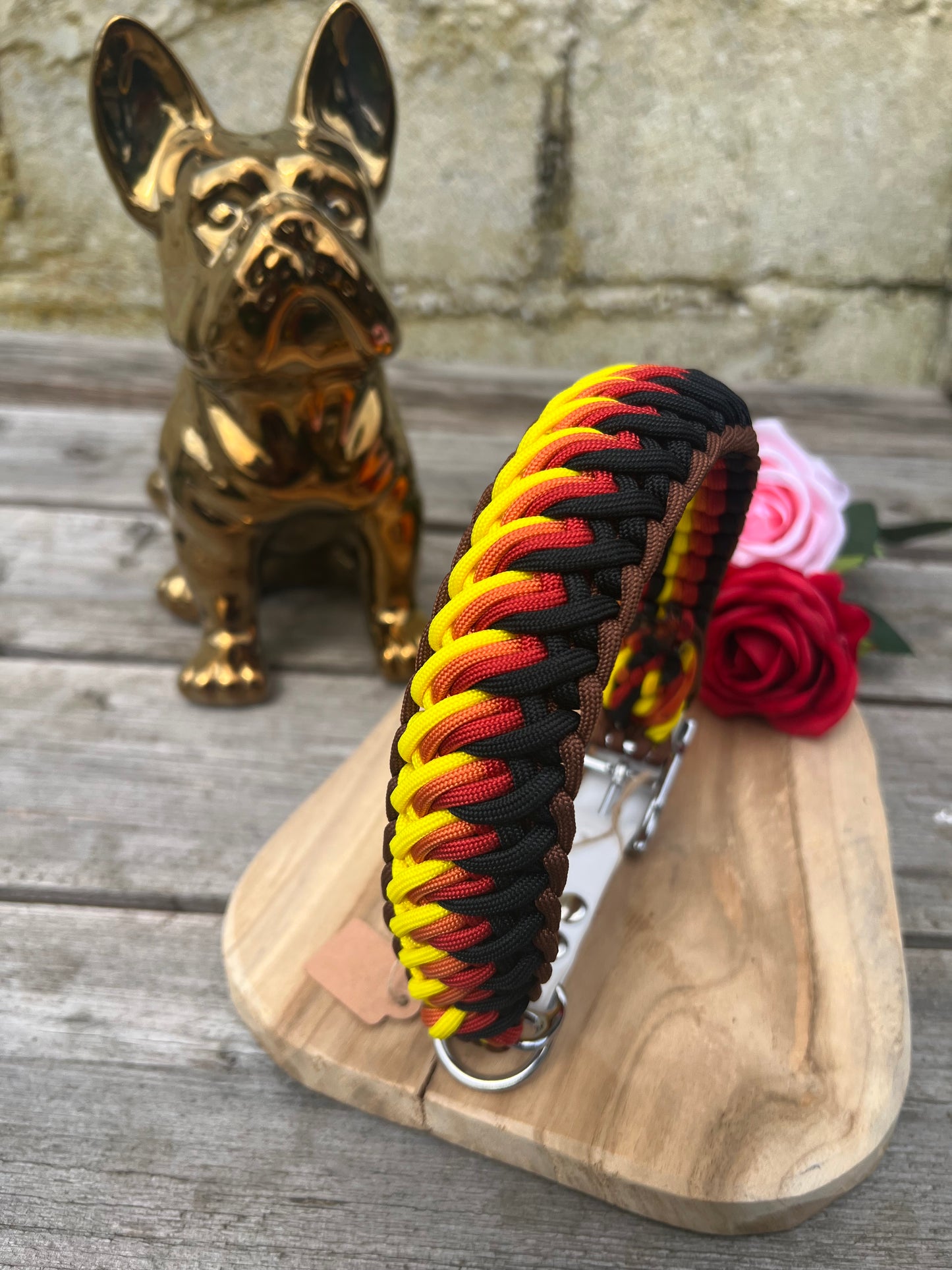 Collier Tressé en Paracorde pour Chien - Wave (Résistant & Durable)