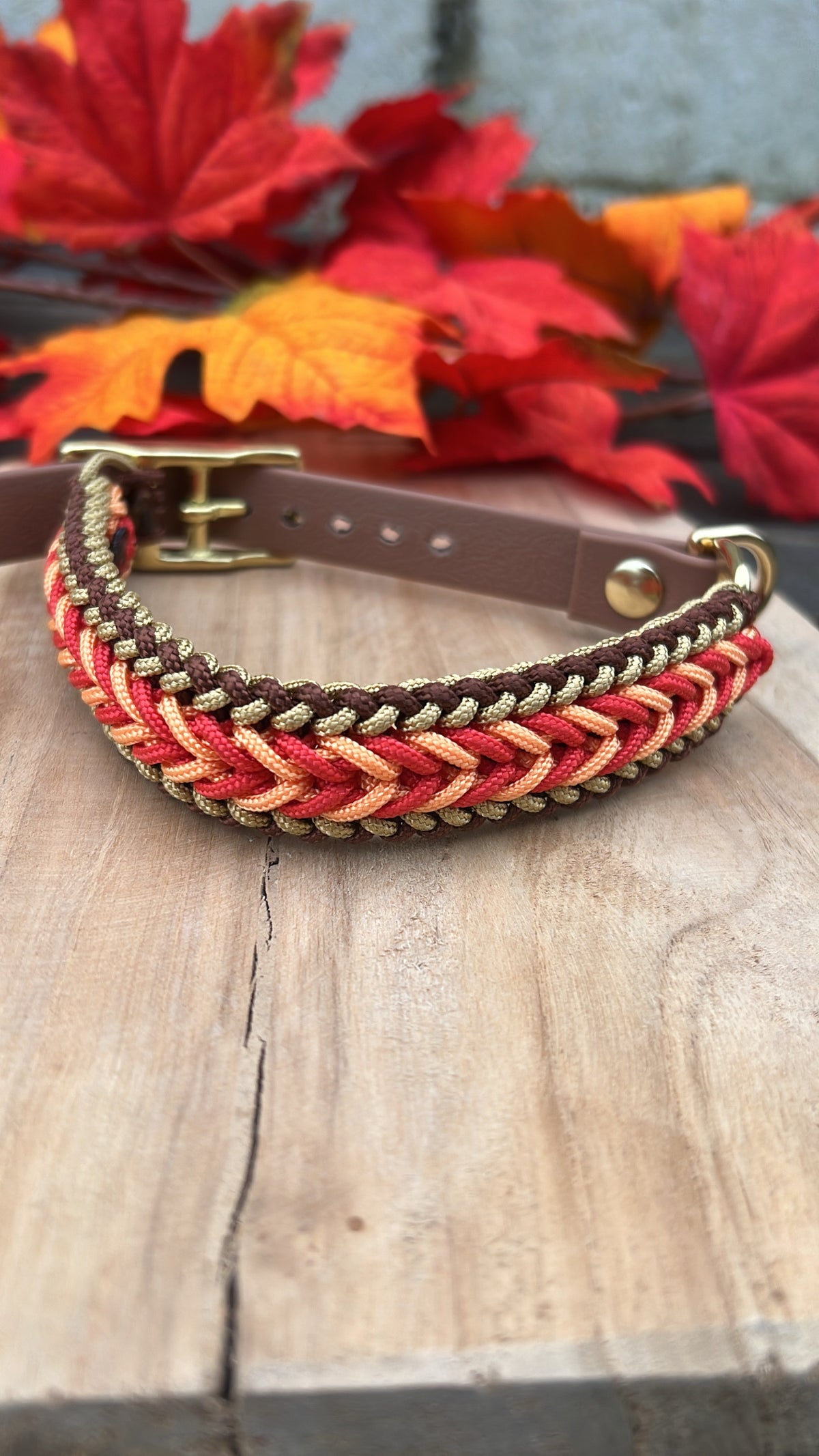 Collier Tressé Chien - Mini Happy