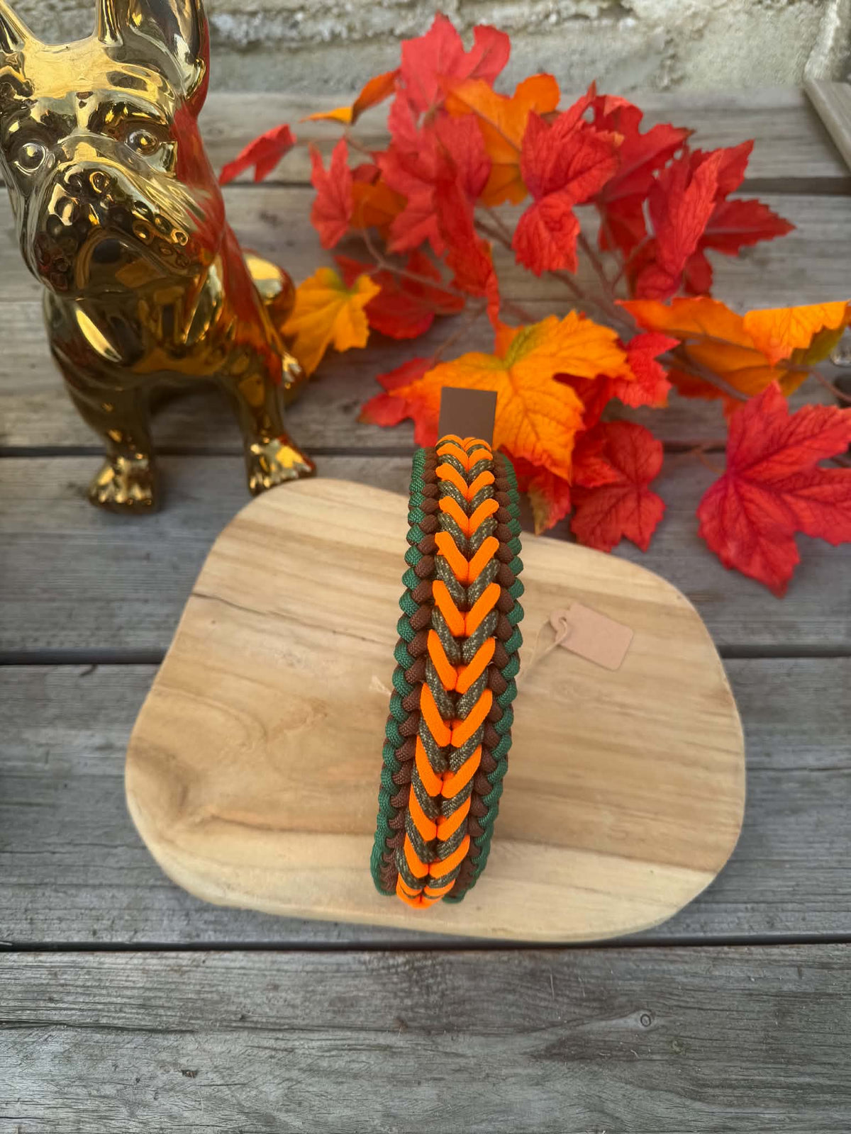 Collier Paracorde Chien - Happy Autumn