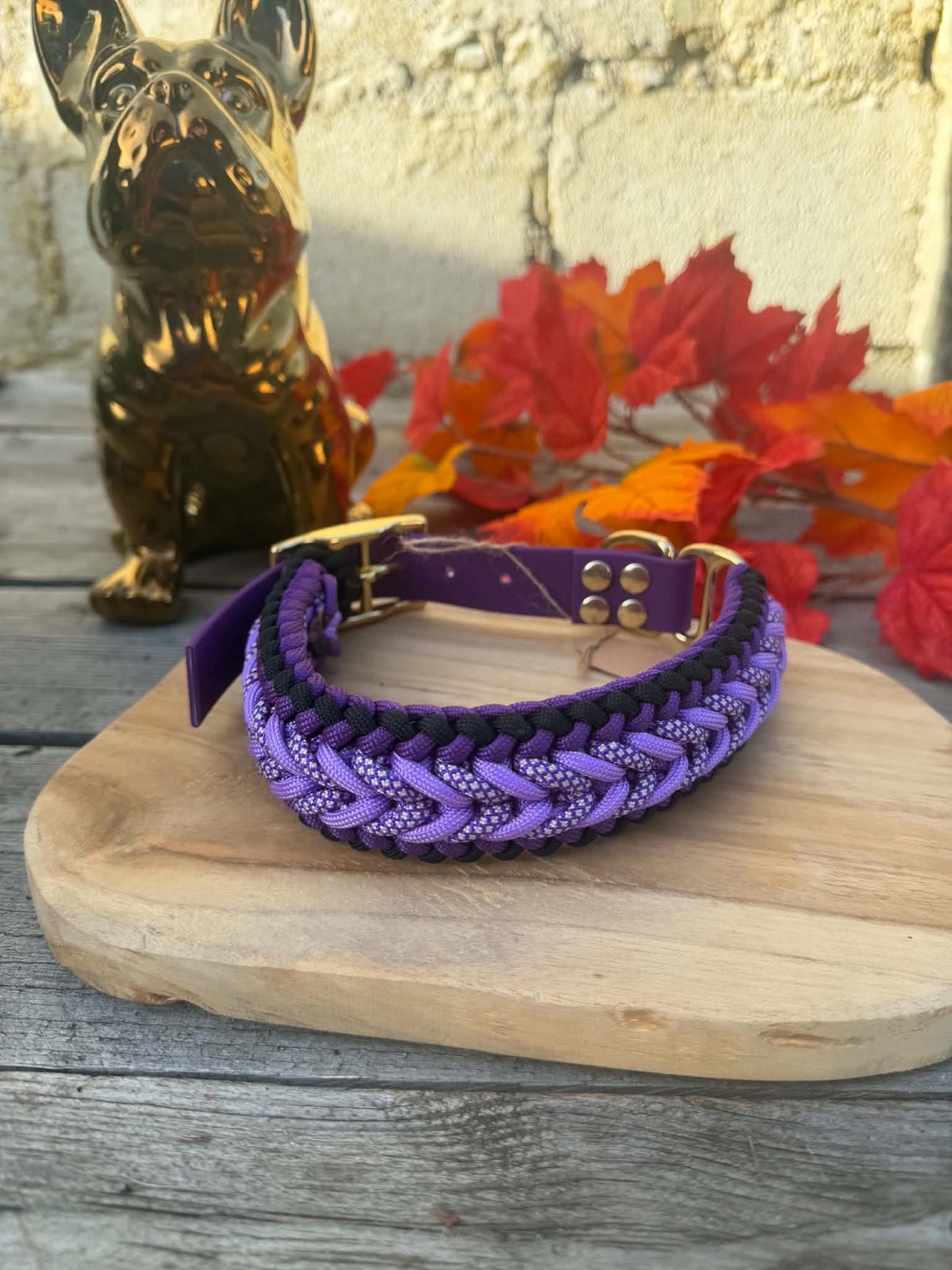 Collier paracorde chien - Diamond