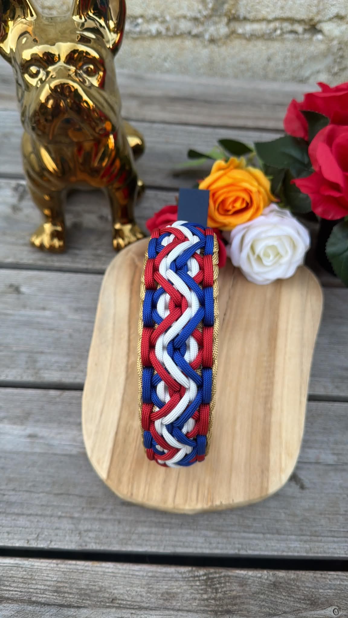 Collier Tressé en Paracorde pour Chien - MYSTIK