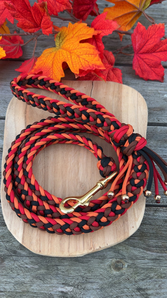 Laisse tressée en paracorde pour chien - AUTUMN DIAMOND