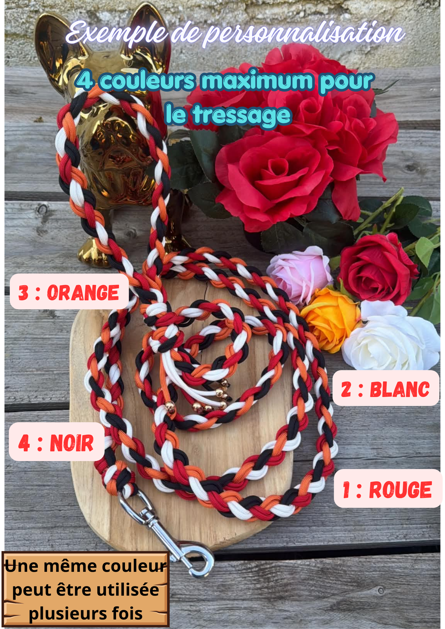 Laisse Tressée en Paracorde pour Chien - Miyako