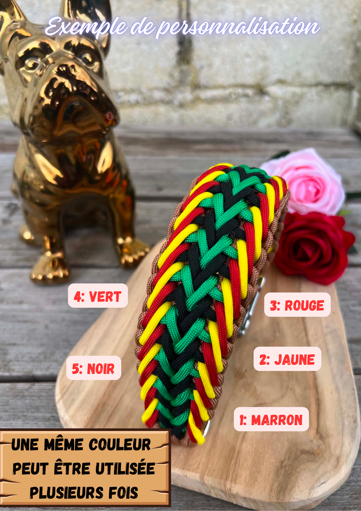 Collier chien en paracorde personnalisé Gordo – solide et unique