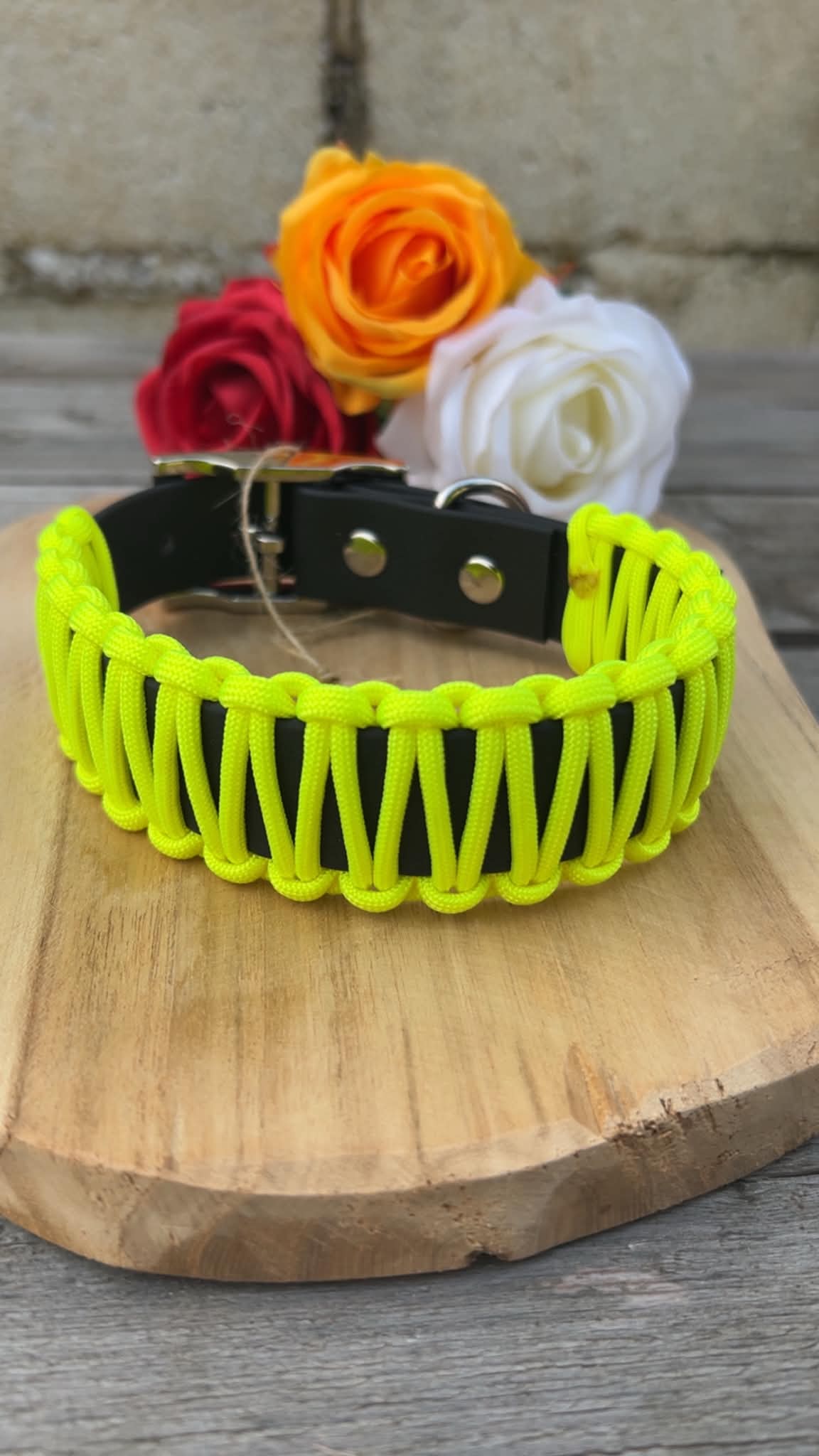 Collier Easy - Sangle résistante et paracorde