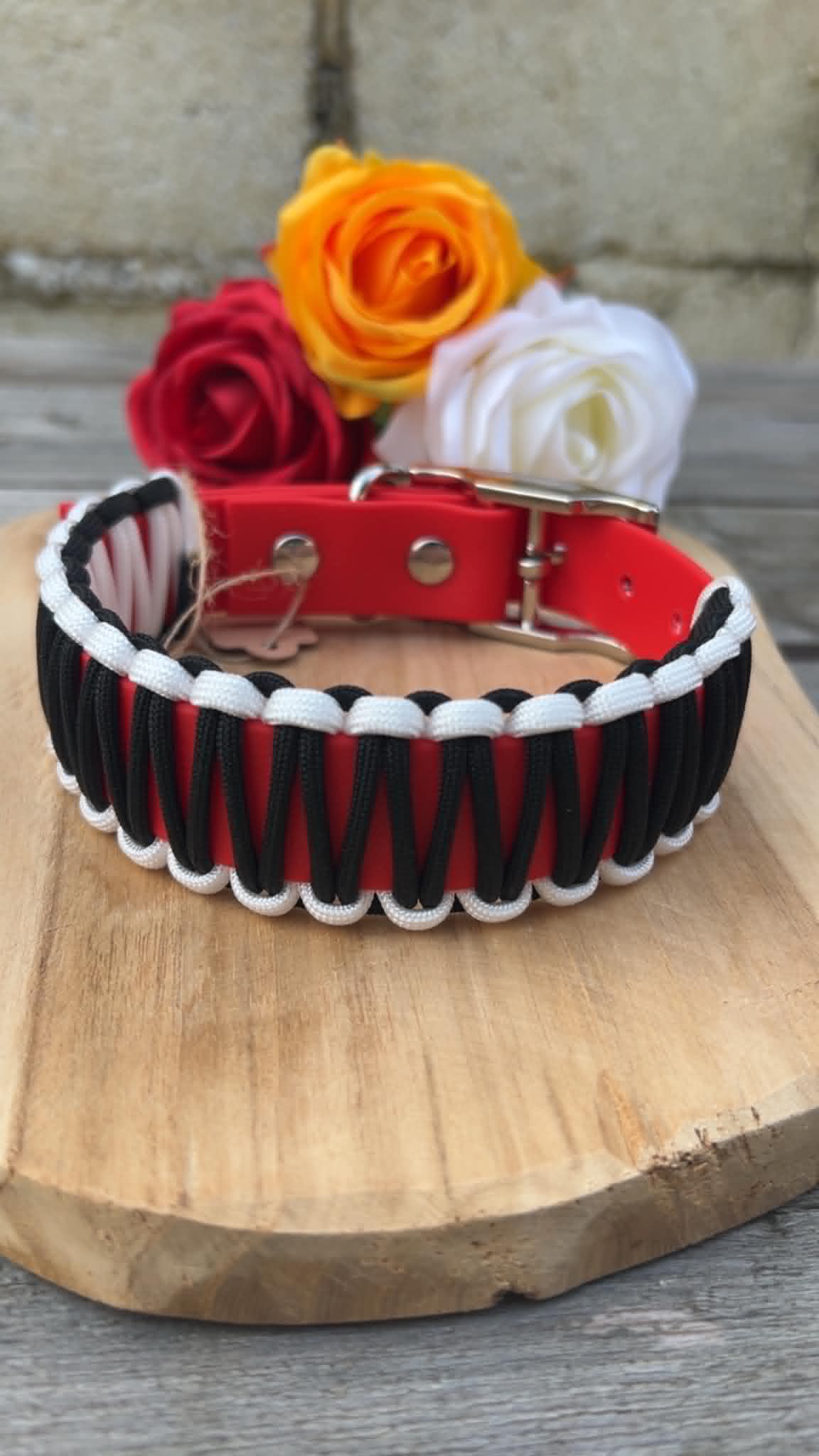 Collier Easy - Sangle résistante et paracorde