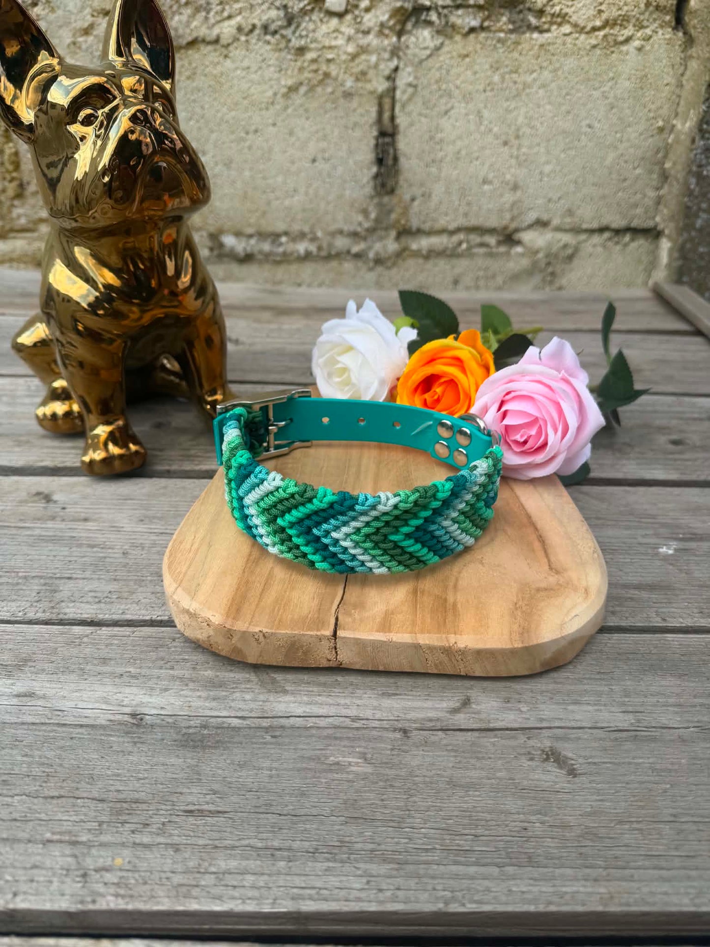 Collier Tressé en Paracorde pour Chien - Arrow