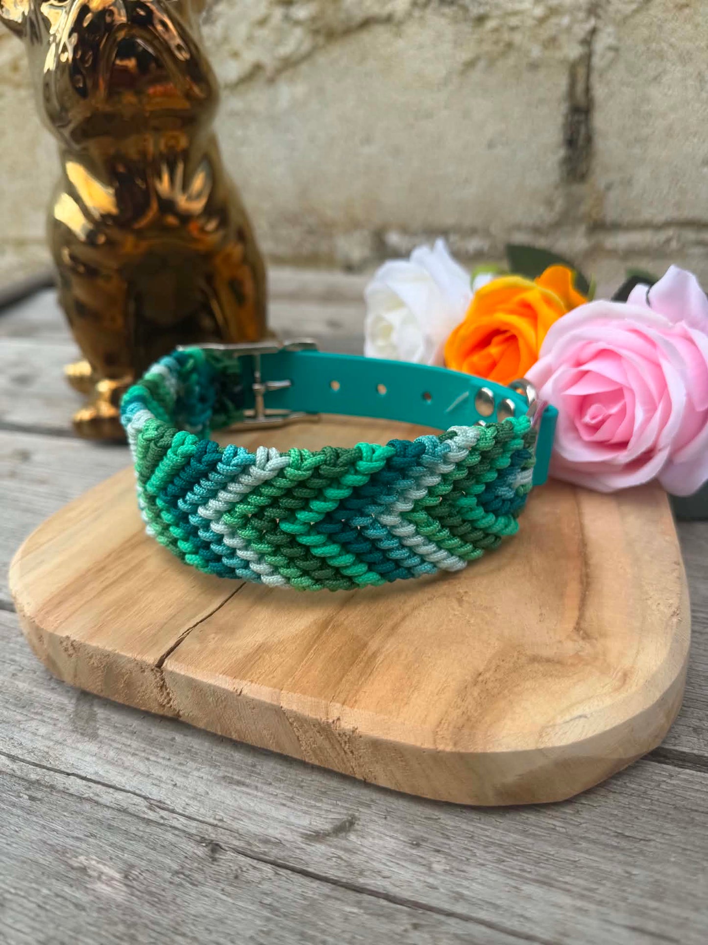 Collier Tressé en Paracorde pour Chien - Arrow