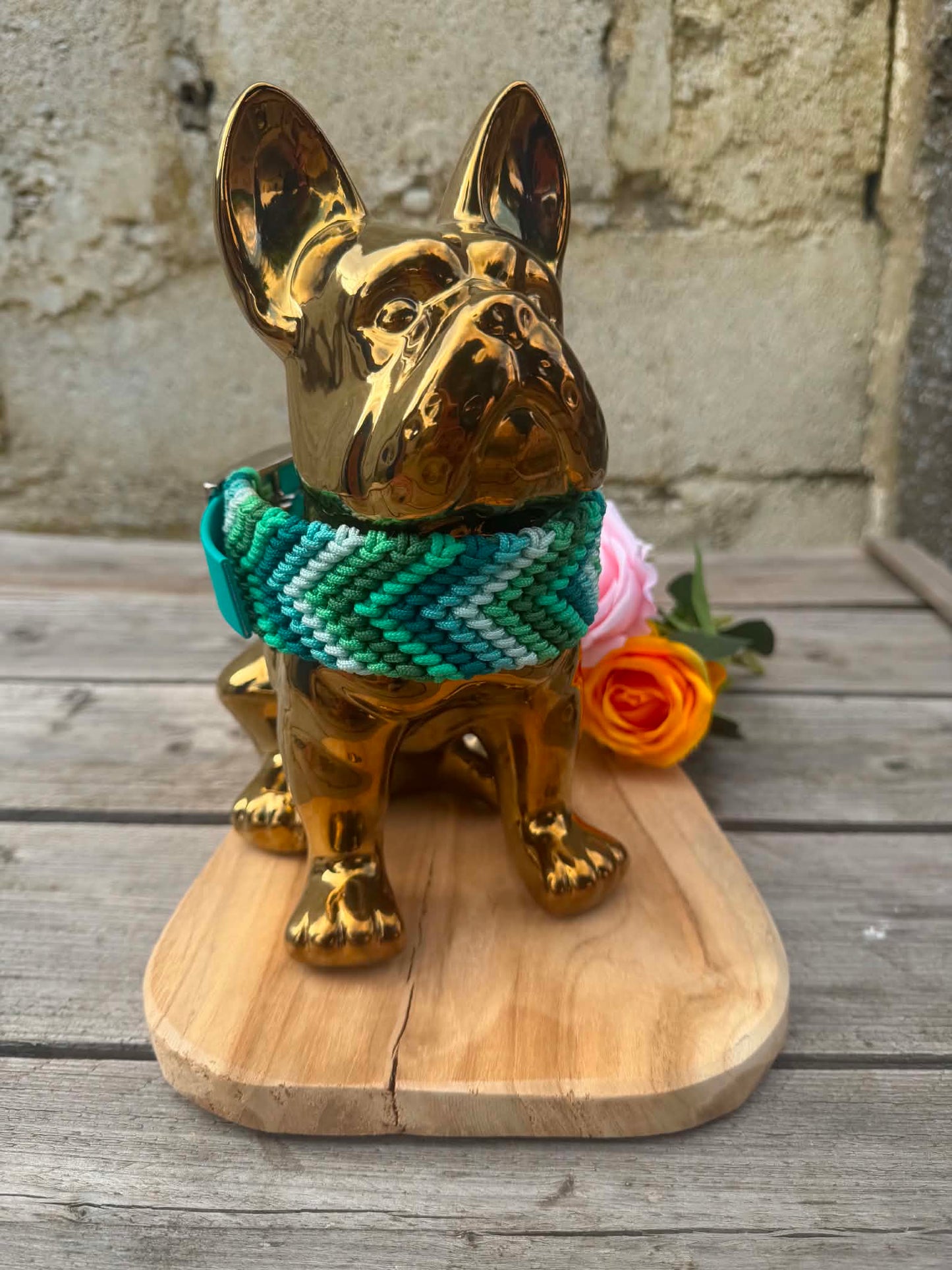 Collier Tressé en Paracorde pour Chien - Arrow