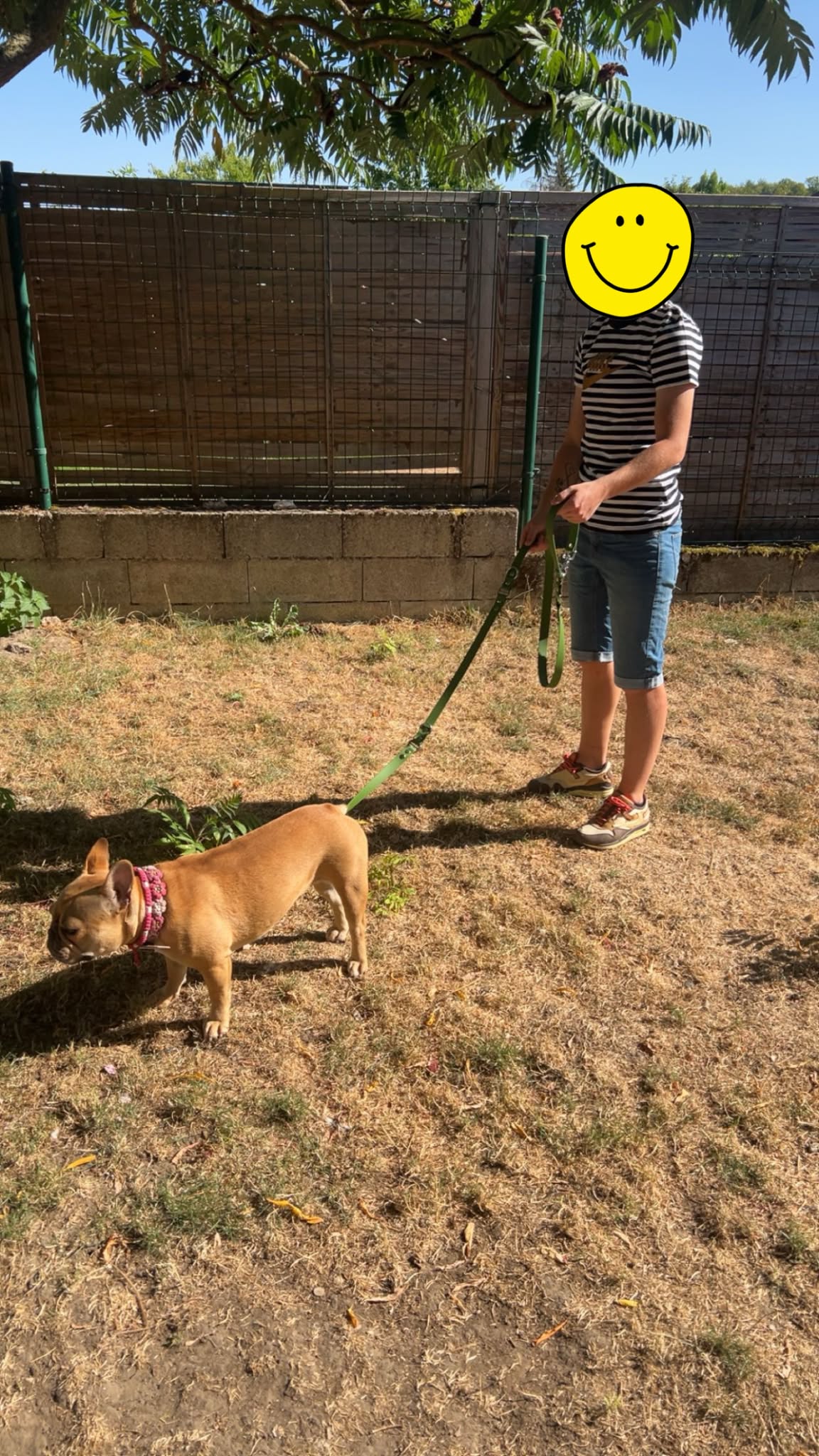 Laisse multipositions personnalisé pour chien