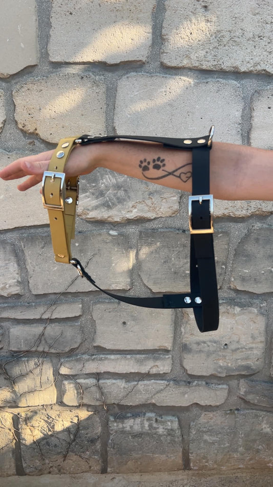 Harnais pour chien personnalisé