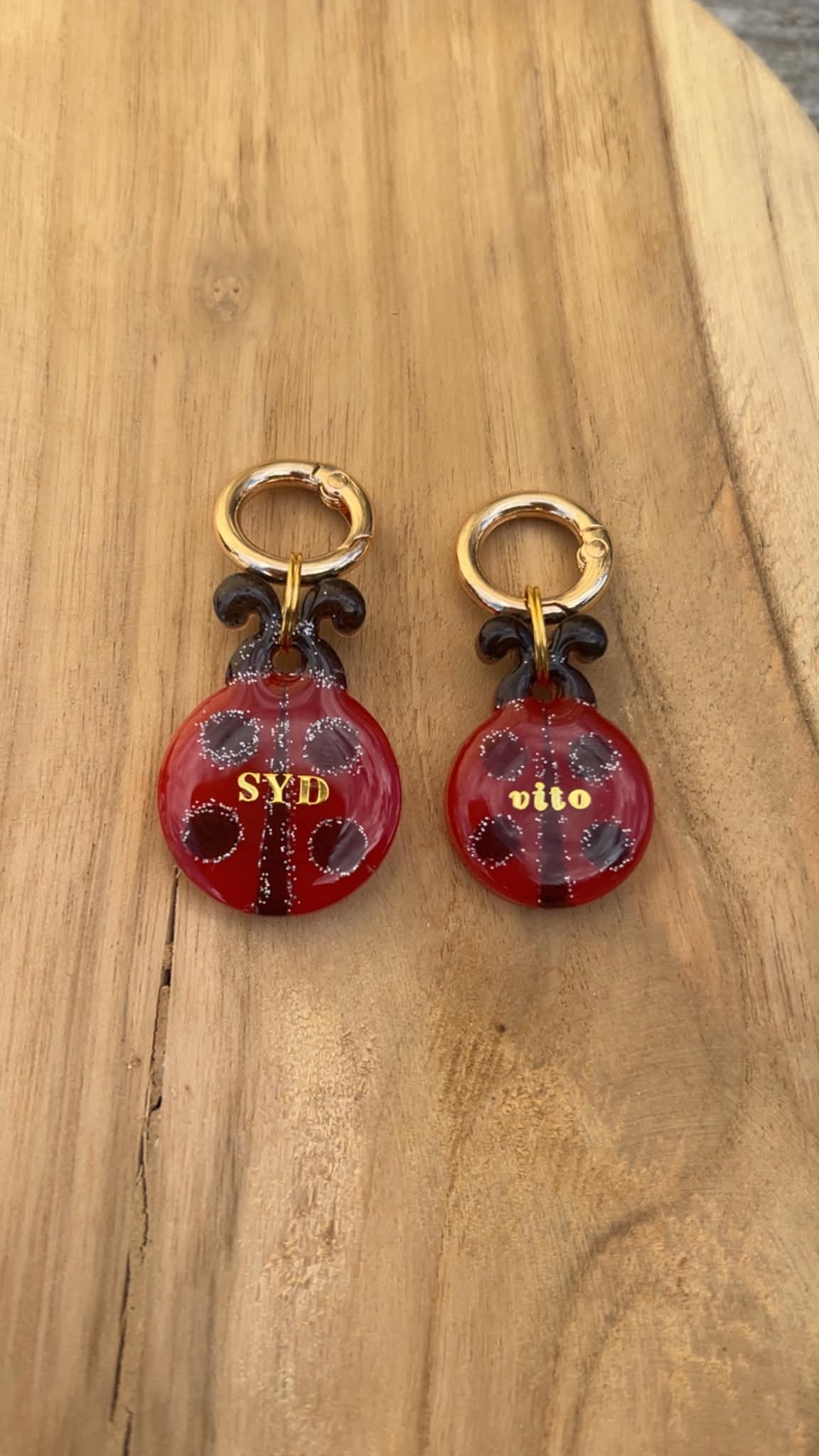 Médaille personnalisée chien "Coccinelle" 🐞