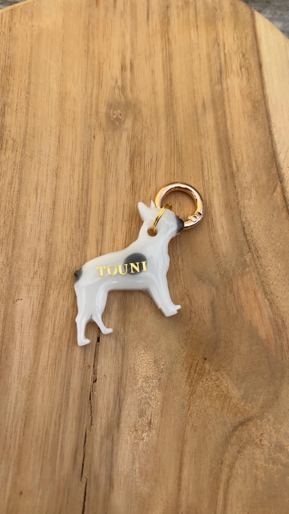 Médaille personnalisée chien "Bouledogue Français" 🐶