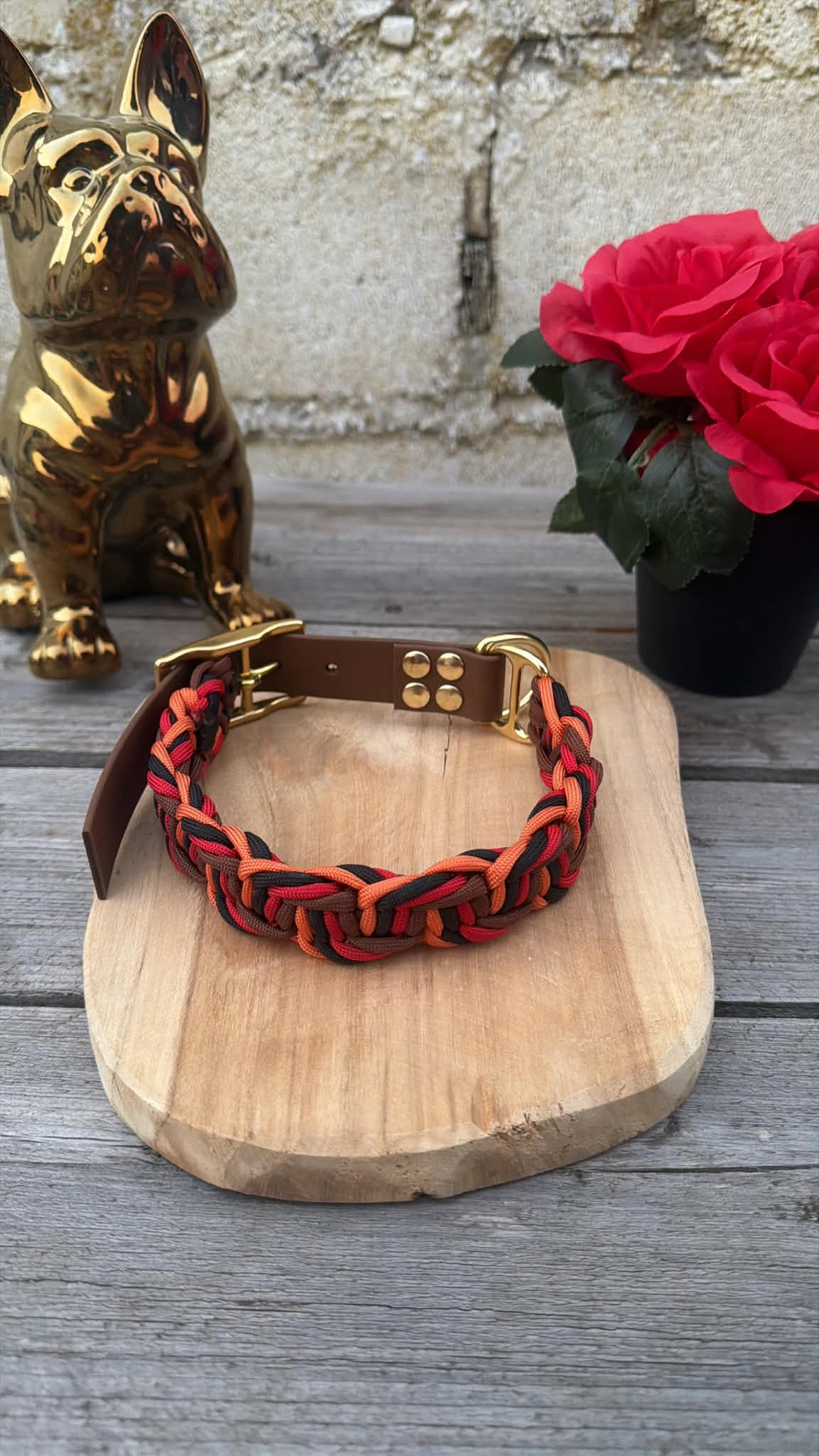 Collier Tressé en Paracorde pour Chien - ZIGZAG