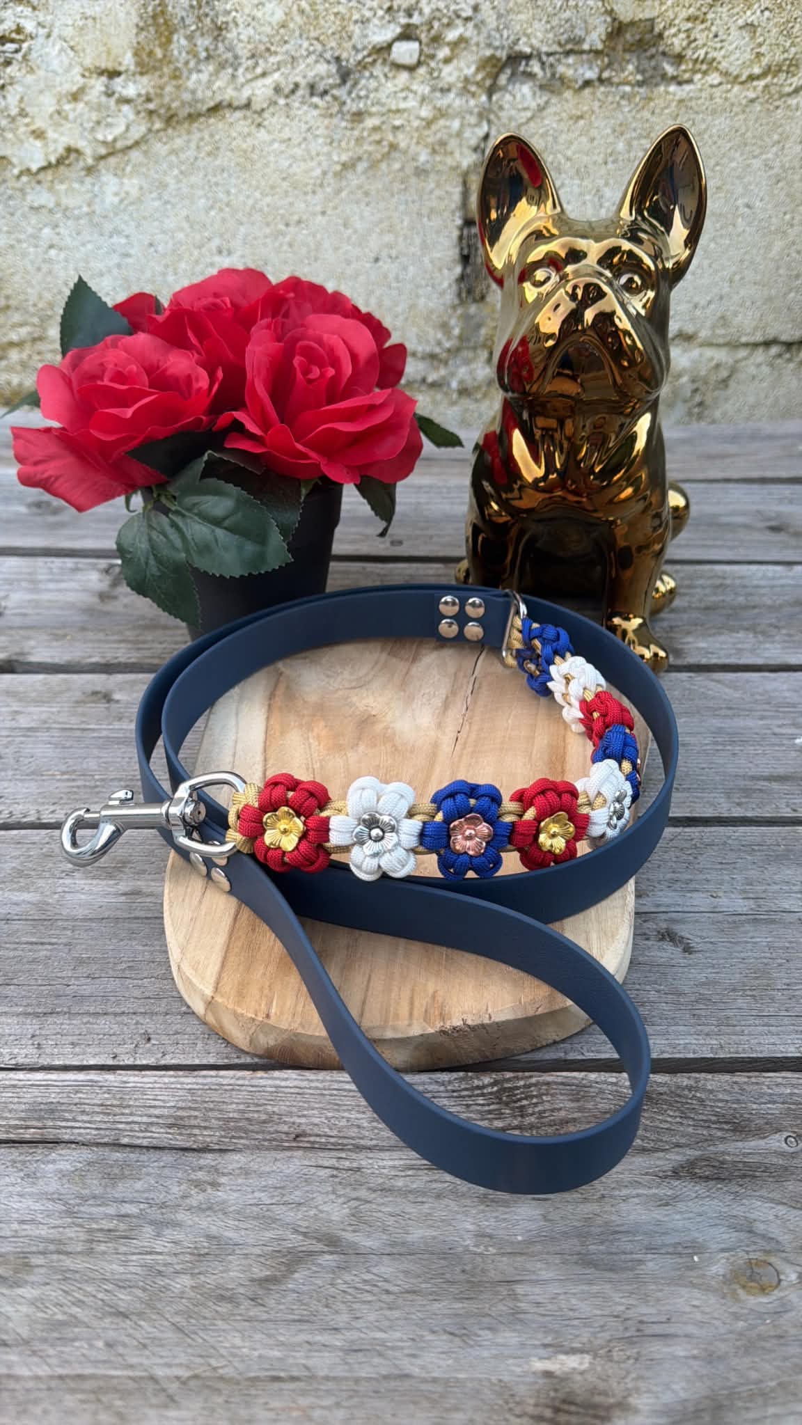 Laisse chien en Biothane FRENCHY FLORAL