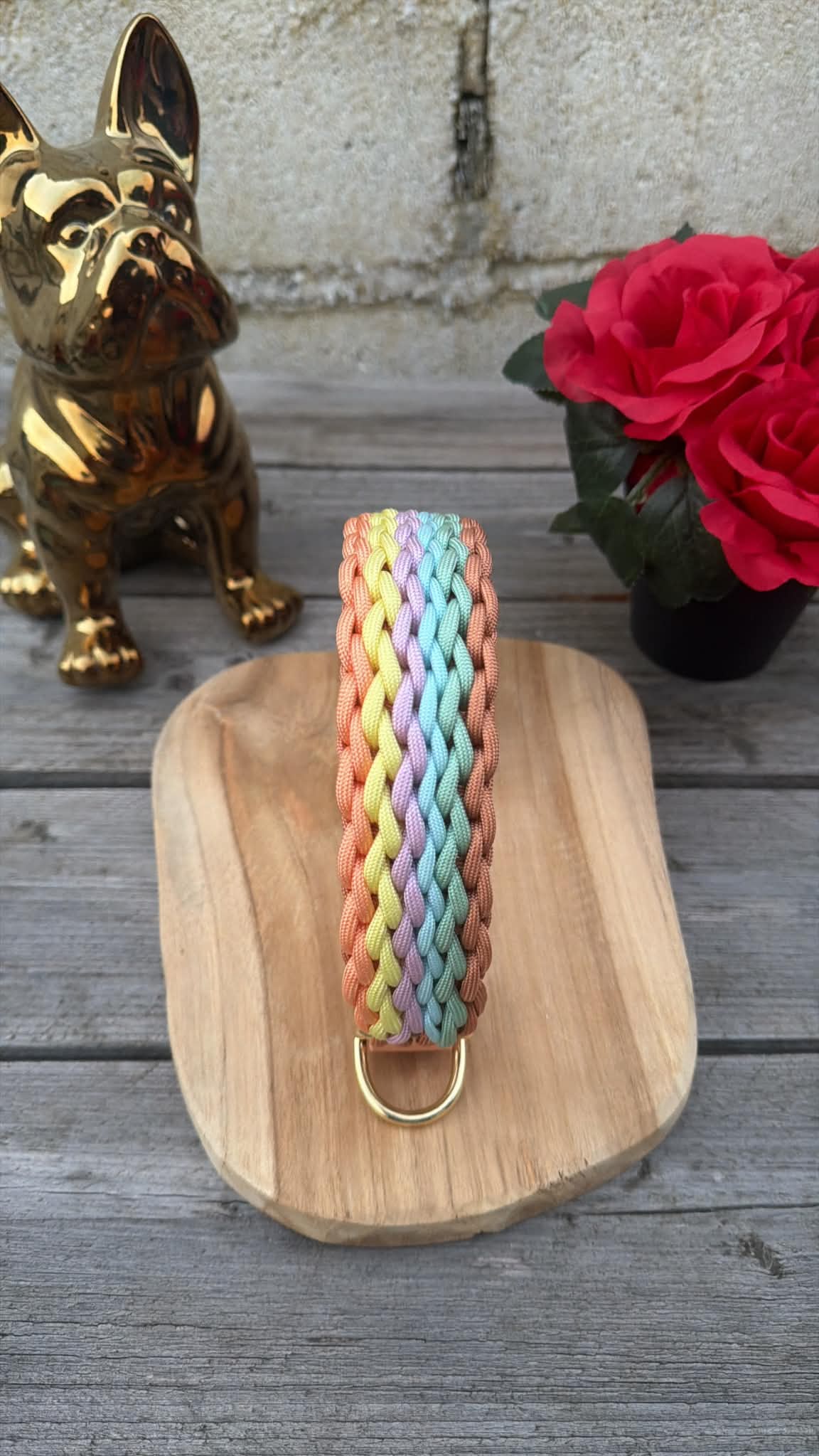 Collier Tressé en Paracorde pour Chien - SUMMER