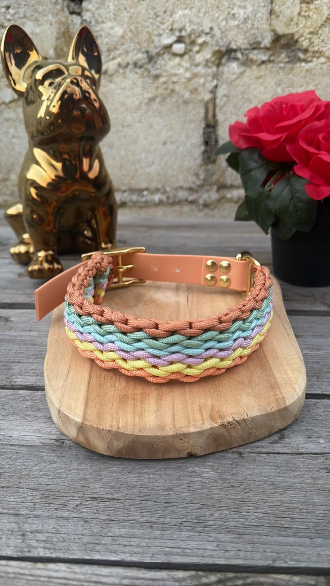 Collier Tressé en Paracorde pour Chien - SUMMER