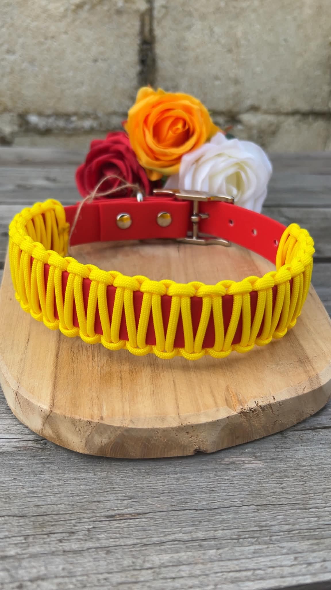 Collier Easy - Sangle résistante et paracorde